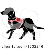 Poster, Art Print Of Walking Black Labrador Guide Dog
