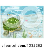 Poster, Art Print Of Sea Turtle Swimming Underwater
