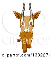 Poster, Art Print Of Cute Gazelle Walking Forward