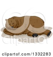 Poster, Art Print Of Brown Bear Hibernating