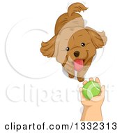 Poster, Art Print Of Boys Hand Holding A Tennis Ball Over A Dog