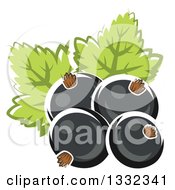 Cartoon Black Currant Berries And Leaves