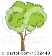 Poster, Art Print Of Cartoon Tree With A Lush Green Mature Canopy 2