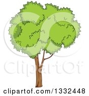 Clipart Of A Cartoon Tree With A Lush Green Mature Canopy 2 Royalty Free Vector Illustration