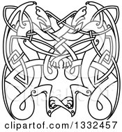 Clipart Of A Lineart Celtic Knot Dragons 6 Royalty Free Vector Illustration