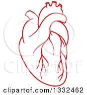 Clipart Of A Red Human Heart 2 Royalty Free Vector Illustration by Vector Tradition SM