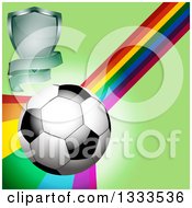 Poster, Art Print Of 3d Shiny Soccer Ball With A Shield Banner And Rainbow Curve On Green