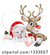 Poster, Art Print Of Cartoon Christmas Red Nosed Reindeer And Santa Giving A Thumb Up Over A Sign