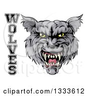 Poster, Art Print Of Ferocious Gray Wolf Mascot Head And Text