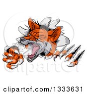 Poster, Art Print Of Vicious Fox Slashing Through A Wall