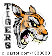 Poster, Art Print Of Vicious Snarling Tiger Mascot Face And Text