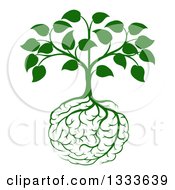 Leafy Green Heart Shaped Tree With Brain Roots