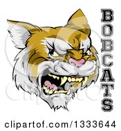 Poster, Art Print Of Roaring Aggressive Bobcat Mascot Head And Text