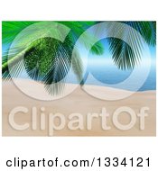 Poster, Art Print Of 3d Tropical Island Beach With White Sand A Palm Tree In The Foreground And Blue Water With Sky