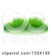 Poster, Art Print Of 3d Patch Of Fresh Green Grass Over White With A Reflection
