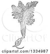 Clipart Of A Black And White Woodcut Herbal Medicinal Poison Hemlock Plant Royalty Free Vector Illustration