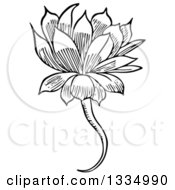 Clipart Of A Black And White Woodcut Herbal Medicinal Houseleek Plant Royalty Free Vector Illustration by Picsburg