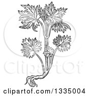 Clipart Of A Black And White Woodcut Herbal Consolida Larkspur Plant Royalty Free Vector Illustration