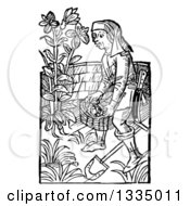 Poster, Art Print Of Black And White Woodcut Medieval Man Carrying A Basket In A Garden