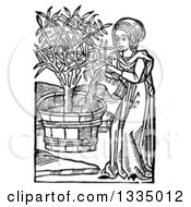 Black And White Woodcut Medieval Woman Watering A Potted Tree