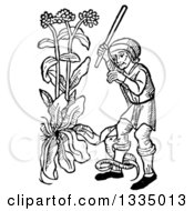 Clipart Of A Black And White Woodcut Medieval Man Swinging At A Snake Coiled Around His Leg In A Garden Royalty Free Vector Illustration