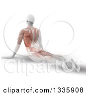 Poster, Art Print Of 3d Anatomical Man Stretching On The Floor In A Yoga Pose With Visible Back Muscles On White