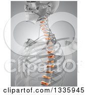 Poster, Art Print Of 3d Anatomical Male Xray With Glowing Spinal Disks On Gray 2