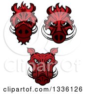 Poster, Art Print Of Red Boar Mascot Heads