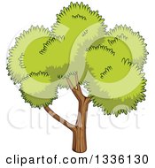 Clipart Of A Cartoon Tree With A Lush Green Mature Canopy 3 Royalty Free Vector Illustration