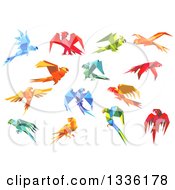Poster, Art Print Of Origami Paper Parrots 6