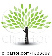 Poster, Art Print Of Silhouetted Hand And Arm With A Shadow Forming The Trunk Of A Tree With Green Spring Leaves