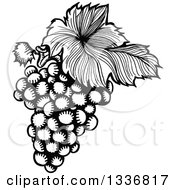 Poster, Art Print Of Sketched Black And White Doodle Of A Leaf And Bunch Of Grapes