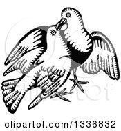 Poster, Art Print Of Sketched Black And White Doodle Of A Dove Pair
