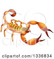 Poster, Art Print Of Yellow And Orange Scorpion