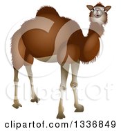 Clipart Of A Curious Dark Brown Camel Royalty Free Illustration