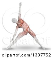Poster, Art Print Of 3d Anatomical Man Stretching In A Yoga Pose With Visible Muscles On White