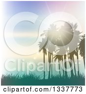 Poster, Art Print Of Background Of Vintage Lighting Effects With Silhouetted Palm Trees Against A Blue Sunset With Light Flares And Grass