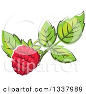 Poster, Art Print Of Cartoon Raspberry And Leaves