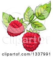 Cartoon Raspberries And Leaves