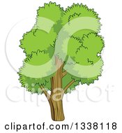 Poster, Art Print Of Cartoon Tree With A Lush Green Mature Canopy 4