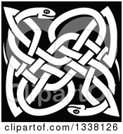 Clipart Of White Celtic Knot Snakes On Black Royalty Free Vector Illustration