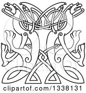 Clipart Of Lineart Celtic Knot Dragons 7 Royalty Free Vector Illustration
