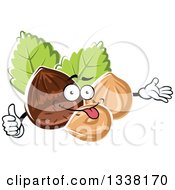 Cartoon Hazelnut Character Presenting And Giving A Thumb Up