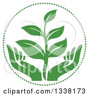 Seedling Plant Over Green Hands In A Circle
