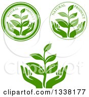 Poster, Art Print Of Seedling Plant And Hand Green Natural Product Labels