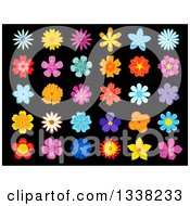 Clipart Of Colorful Flower Designs On Black Royalty Free Vector Illustration