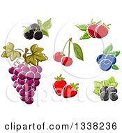 Poster, Art Print Of Cartoon Blackberriers Raspberries Blueberries Cherries Strawberries Grapes And Black Currants