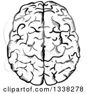 Clipart Of A Black And White Sketched Brain Royalty Free Vector Illustration