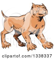 Poster, Art Print Of Sketched Brown Pitbull Dog