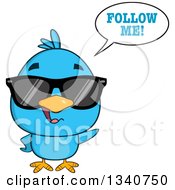 Poster, Art Print Of Cartoon Blue Bird Wearing Sunglasses And Saying Follow Me